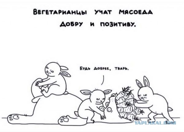 Чёрный четверг для деградантов