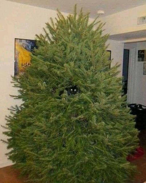 Картинки на выходные 25.12.21