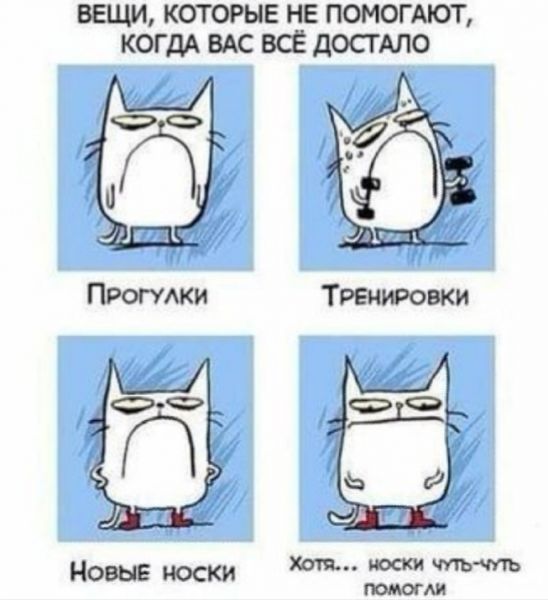 Баянисто-небаянистый юмор 8.01.22
