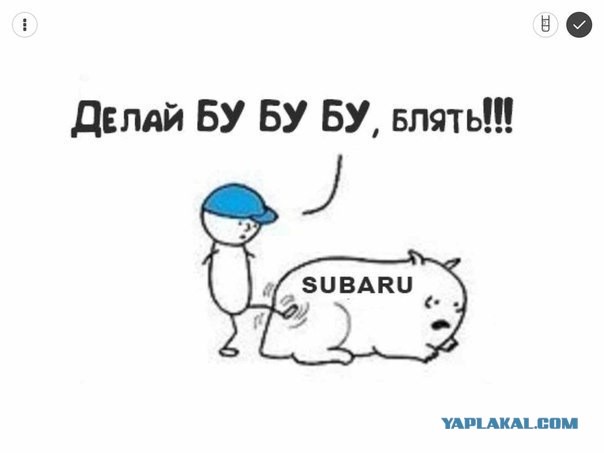 Удачная покупка, да?