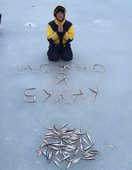 Картинки и мемы, всем отличных выходных