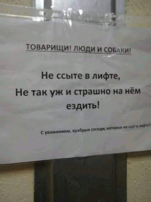 Картинки с комментариями 06.05.22