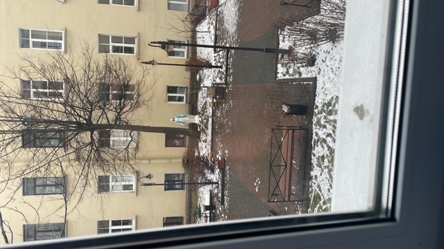 За ширмой дворцов. Городские контрасты