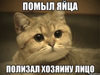 Каспер наш Чувак!