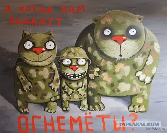 Иноагент Земфира спела новую песню «Родина»