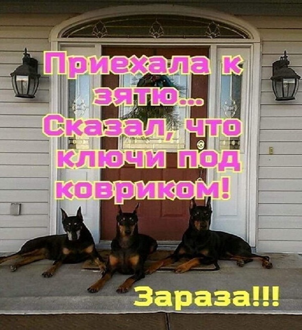 Картинки с юбилея
