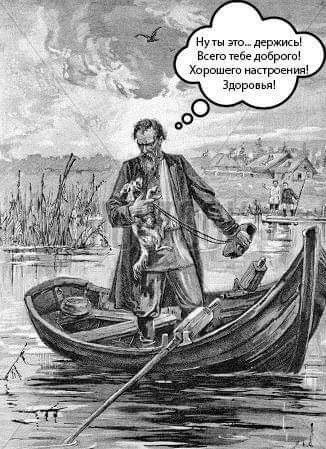 Картинок подвезли