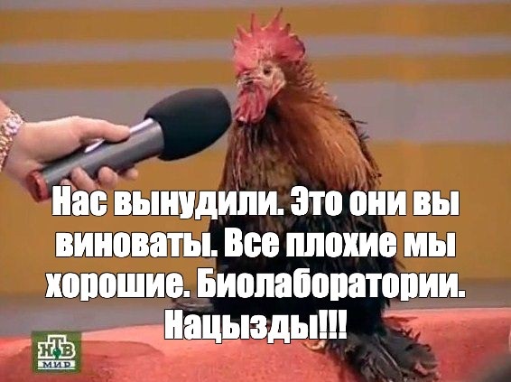 Учения НАТО