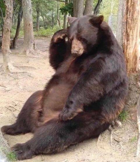 ФотоВинегрет