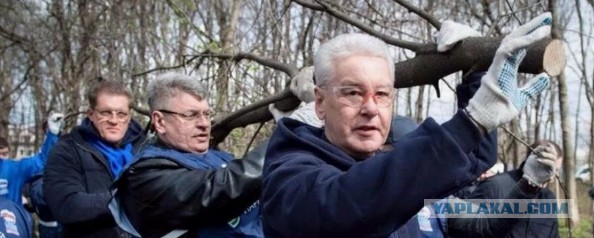 В СССР придумали, как заставить людей работать бесплатно. Почему народ пошел на это?