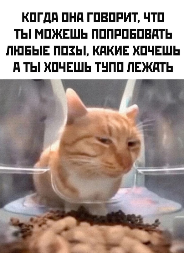 Весёлый полтишок 20.05.24