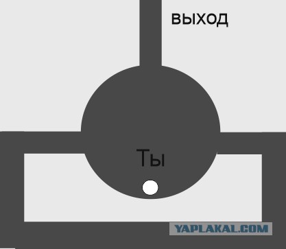 Ученые Бристольского университета в Великобритании, разработали один из самых сложных фрактальных лабиринтов в истории