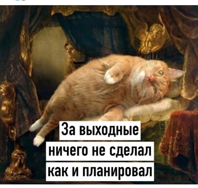 Всего понемногу. От 20.10