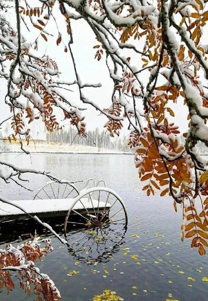 Прикольные и просто красивые картинки 26.11.2024
