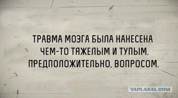 Так себе картинки 25.11.24