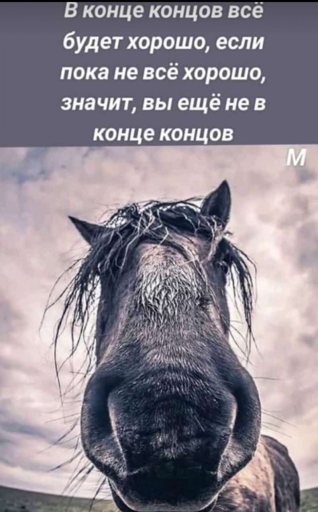 Весёлые картинки