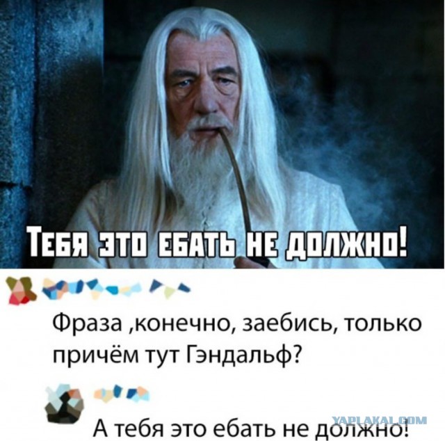 Баяны: апрель 2023 г - июль 2023 г