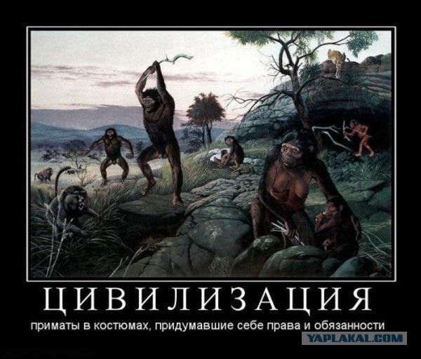 Чиновники Минпросвещения России создали список экспертов, которые будут решать, какие песни будут изучать российские школьники