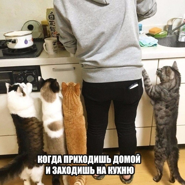 Так себе картинки 27.02.25