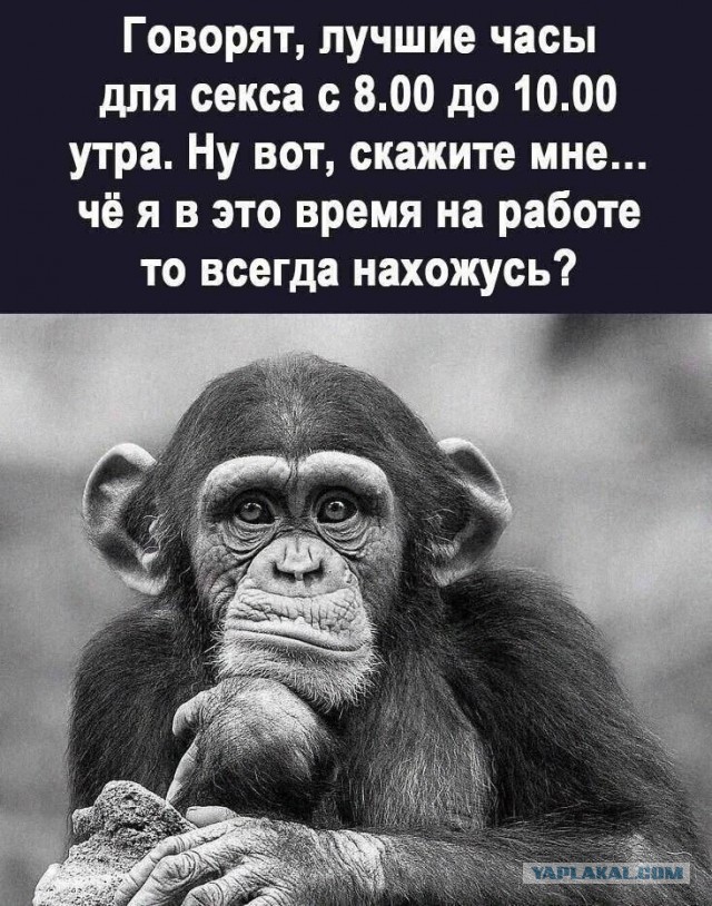 Так себе картинки 29.04.25