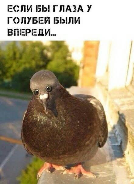 Нуштош 06.05.2025. Старая реальность (s3e12)