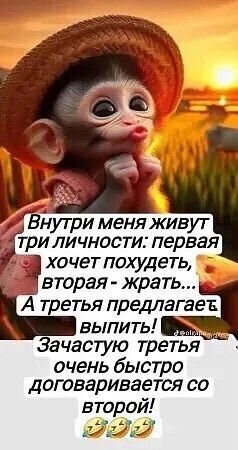 Прикольные и просто красивые картинки 14.11.2025