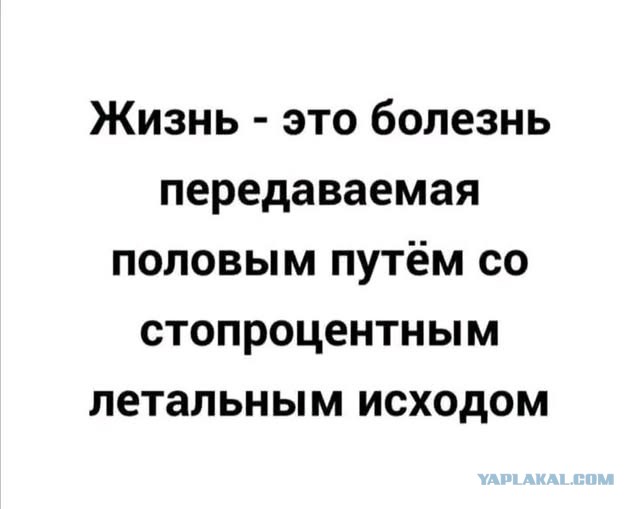 Картинки