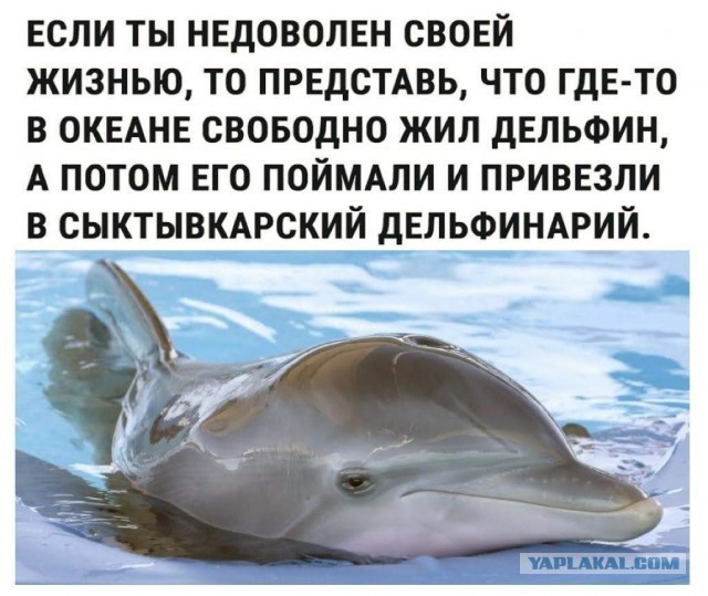 Картинки для деградации 114 (разной степени свежести)
