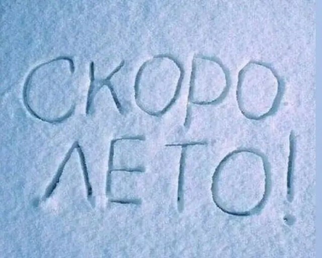 Веселых картинок вам в ленту