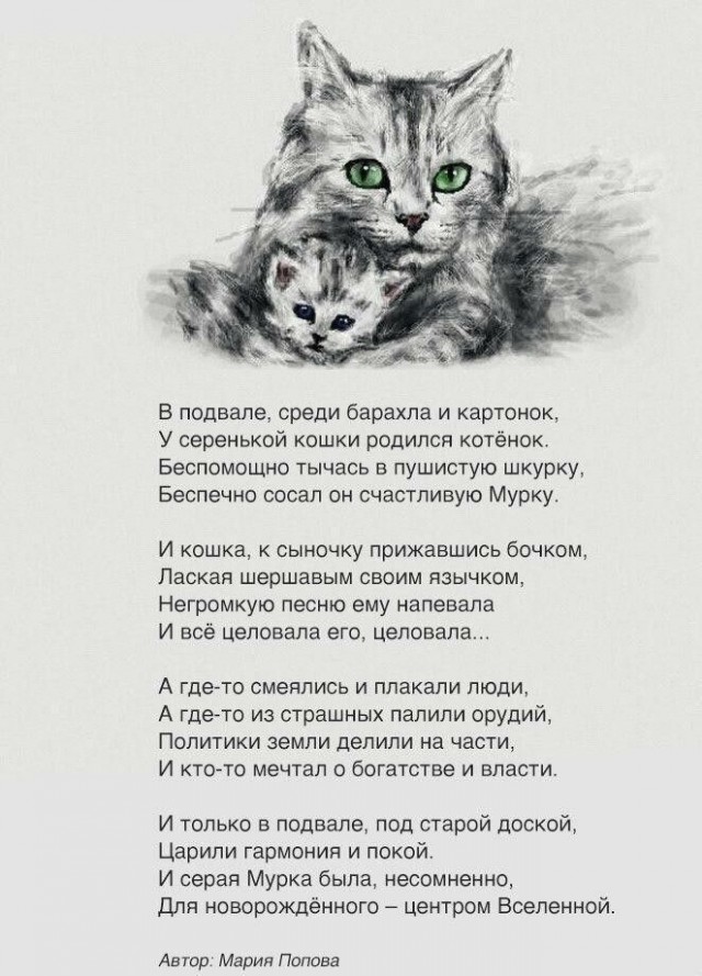 К котовторнику: подборка картинок-баянов с котиками и про котиков. Выпуск 28.