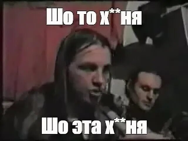 20744270.jpg