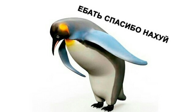 В Госдуме рассказали, когда снизится плата за ЖКХ