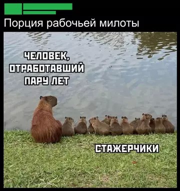 Картиночки, баянчики 10 апреля