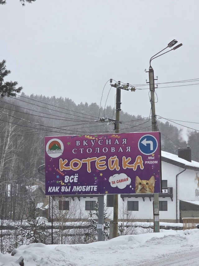 К котовторнику: подборка картинок-баянов с котиками и про котиков. Выпуск 37.