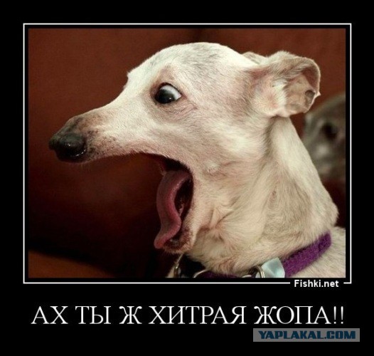 Есть у кого знакомые студенты в Париже?
