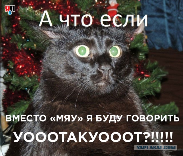Вот так вот