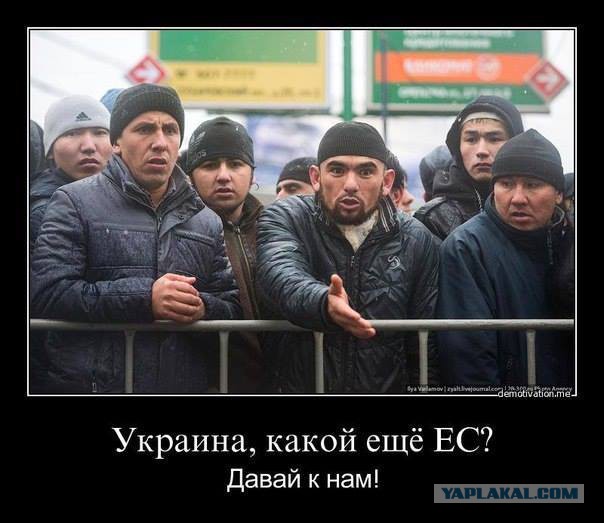 Владимир Путин: Акции в Киеве