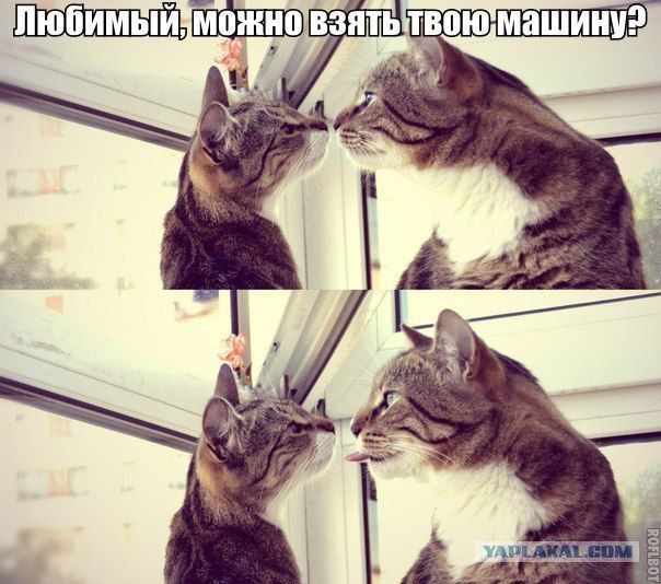 Весёлые картинки. Разбавим будни