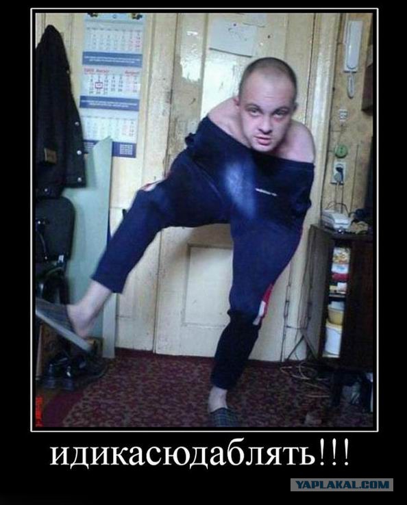 Демотиваторы.