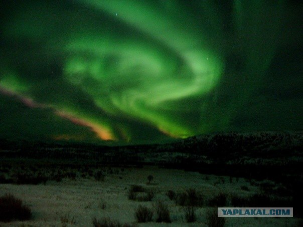 Условия для фотографов в Заполярье