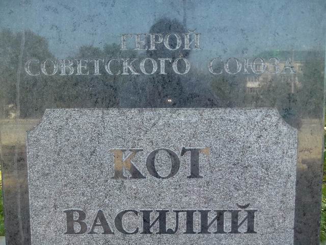 Кот спас мальчика от нападения собаки