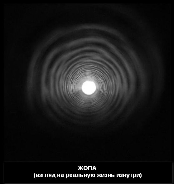 Медведев нашел решение для Украины