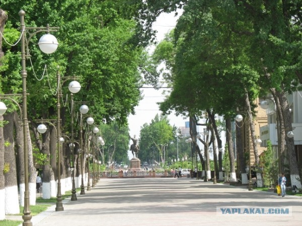 Ташкент в лицах