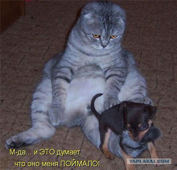Поднимаем настроение