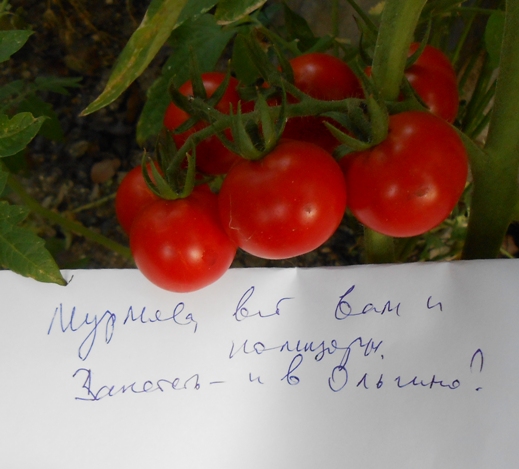 В регионах стало заметно дорожать продовольствие.