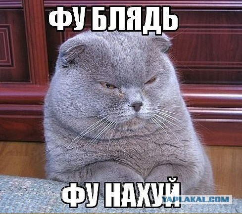Губки бантиком... бантом.. огромным бантищем!