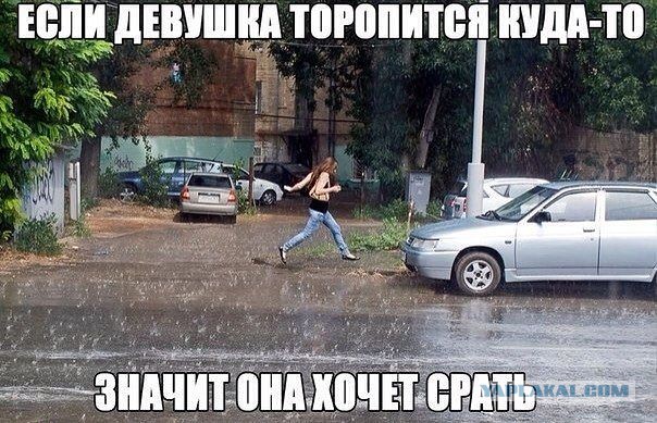 Весёлое из сети