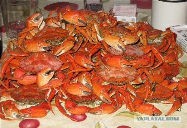 Какие продукты уникальны для Вашего региона?