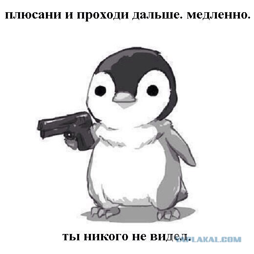 27 картинок