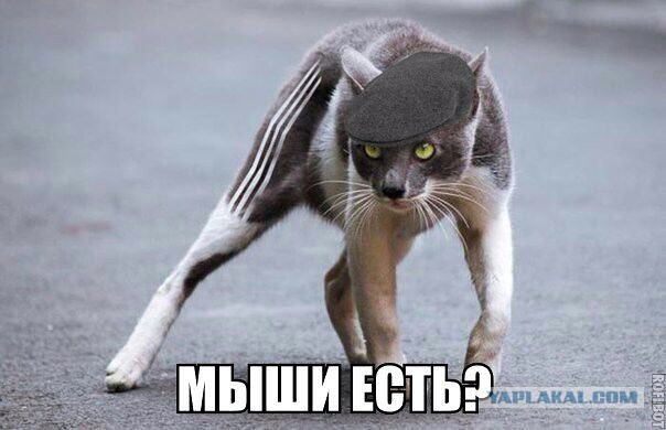 Победитель в номинации "про*би все сразу"